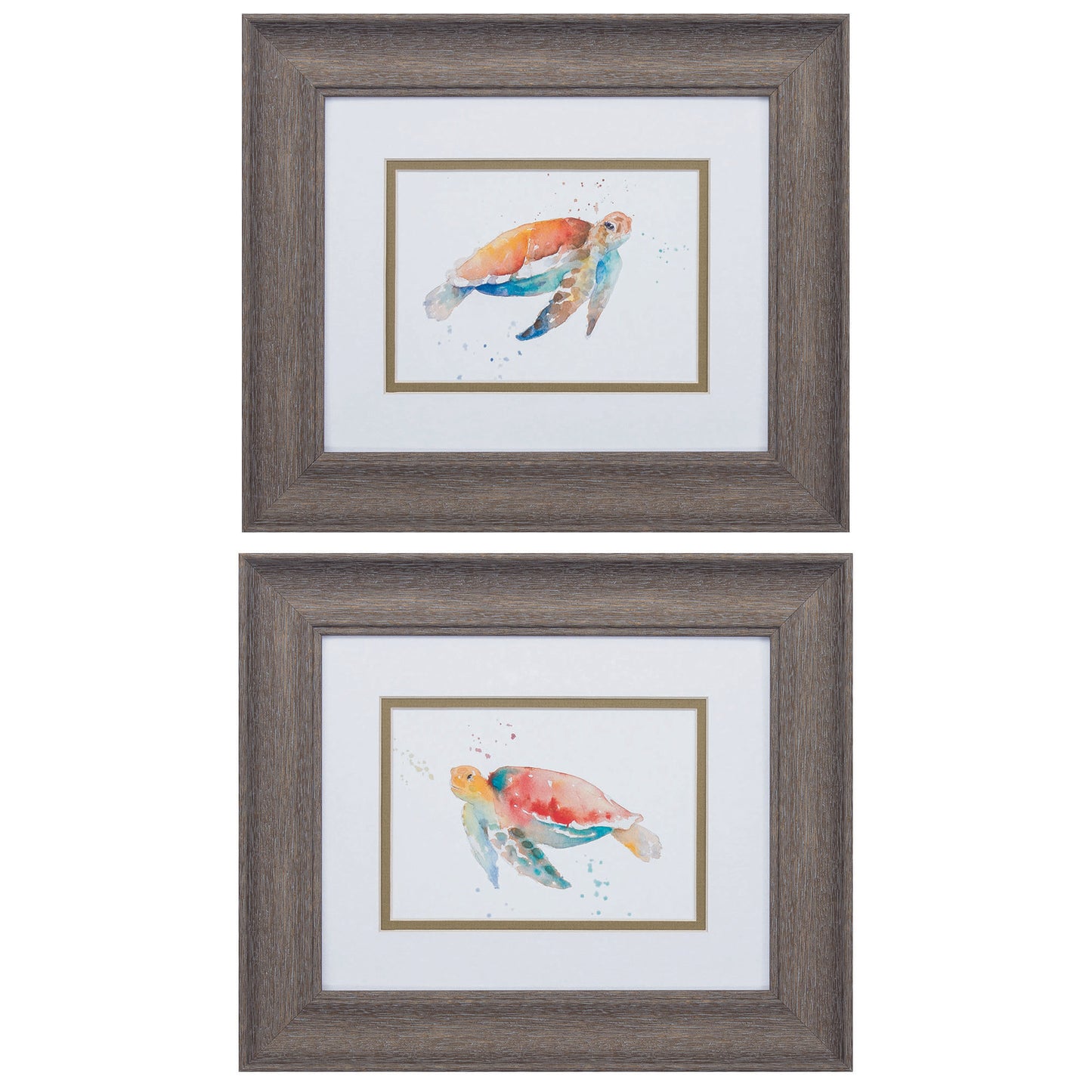 Set of Two Red and Blue Turtle Framed Wall Art