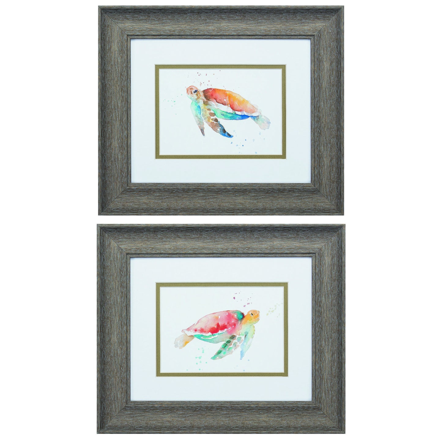 Set of Two Red and Blue Turtle Framed Wall Art