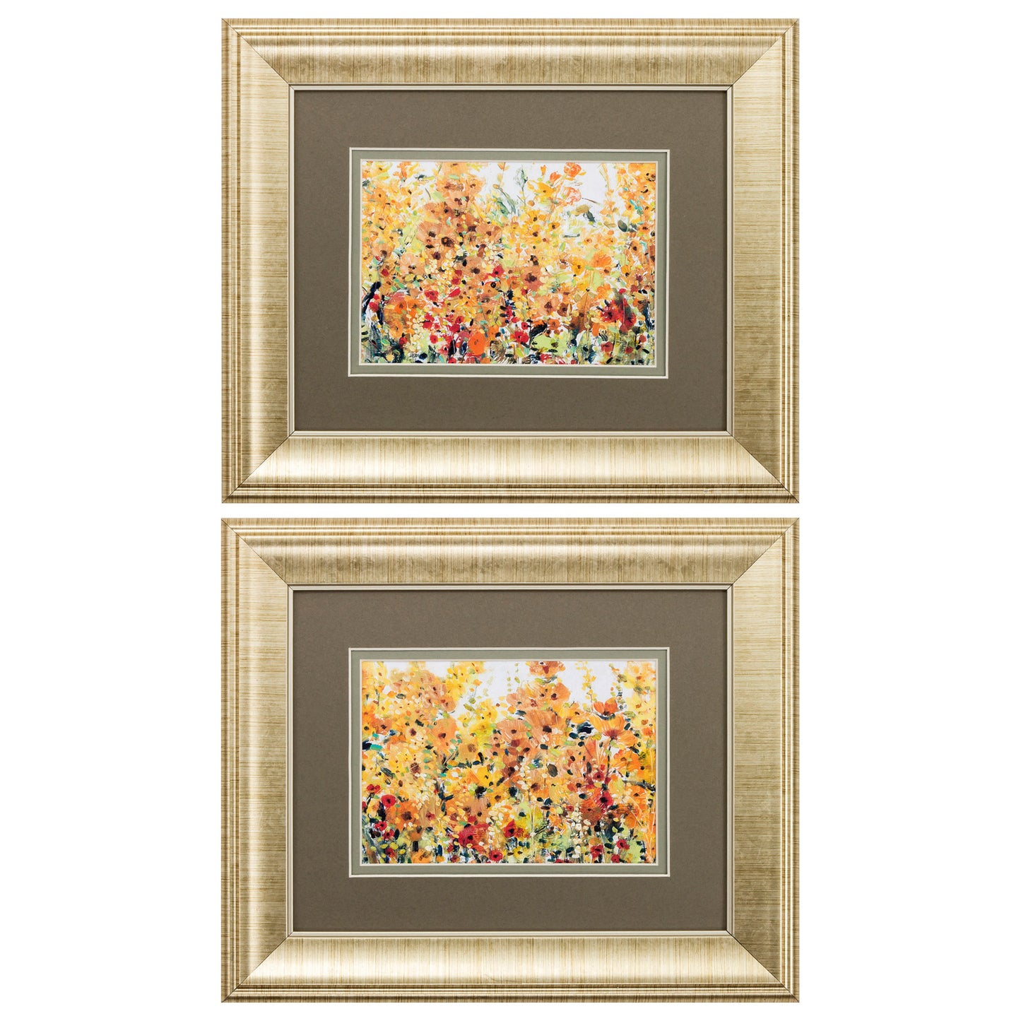 Set Of Two Pretty Summer Flowers Gold Framed Wall Art