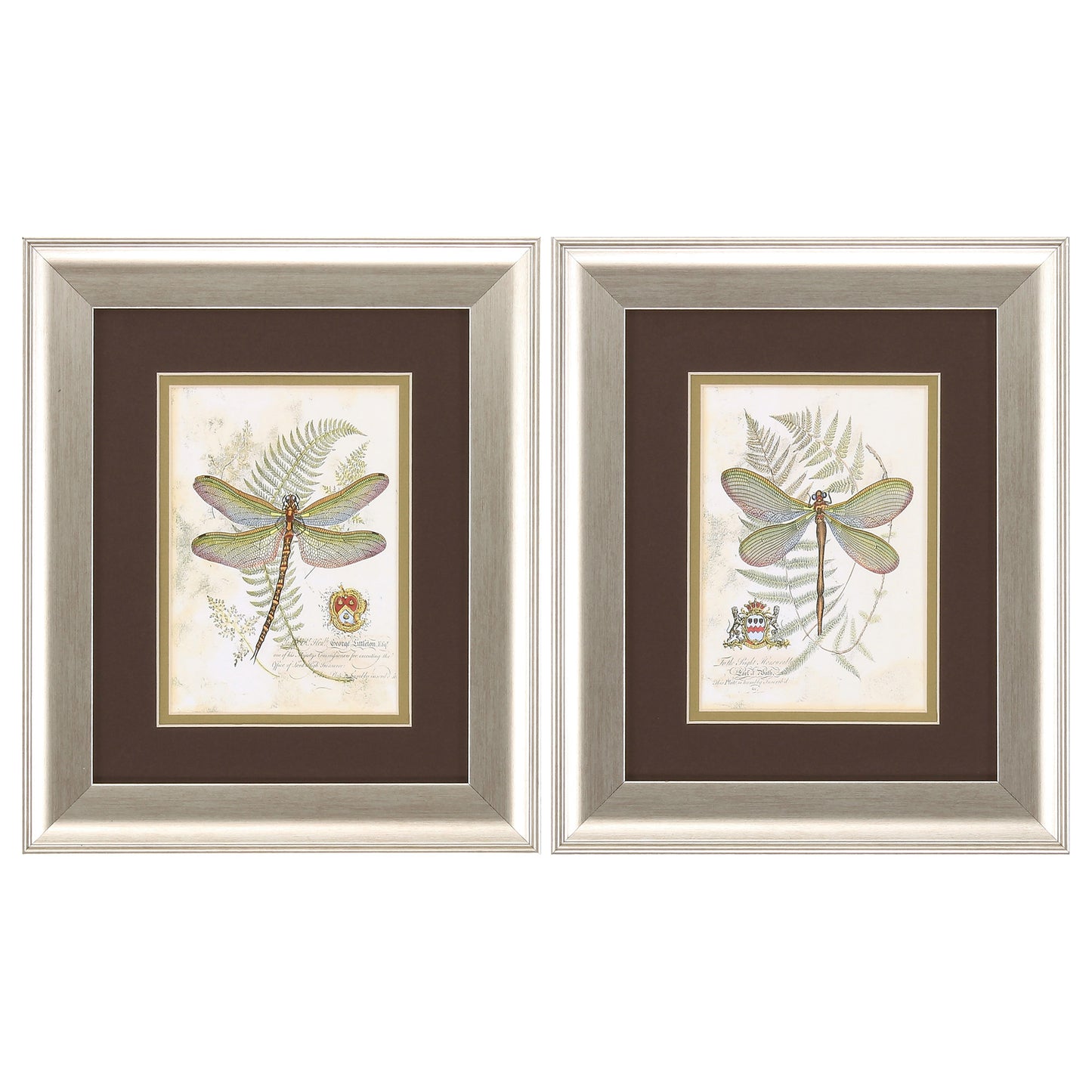 11" X 13" Brushed Silver Frame Dragonfly (Set Of 2)