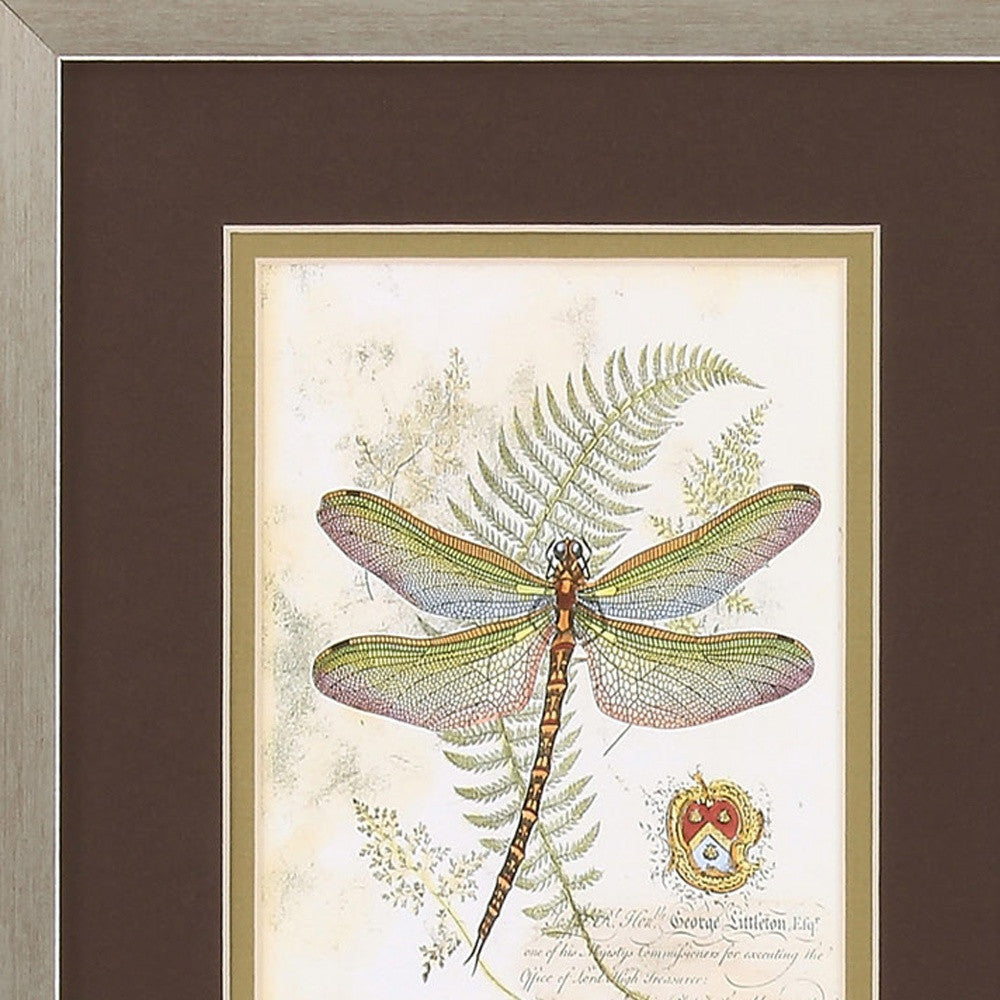 11" X 13" Brushed Silver Frame Dragonfly (Set Of 2)