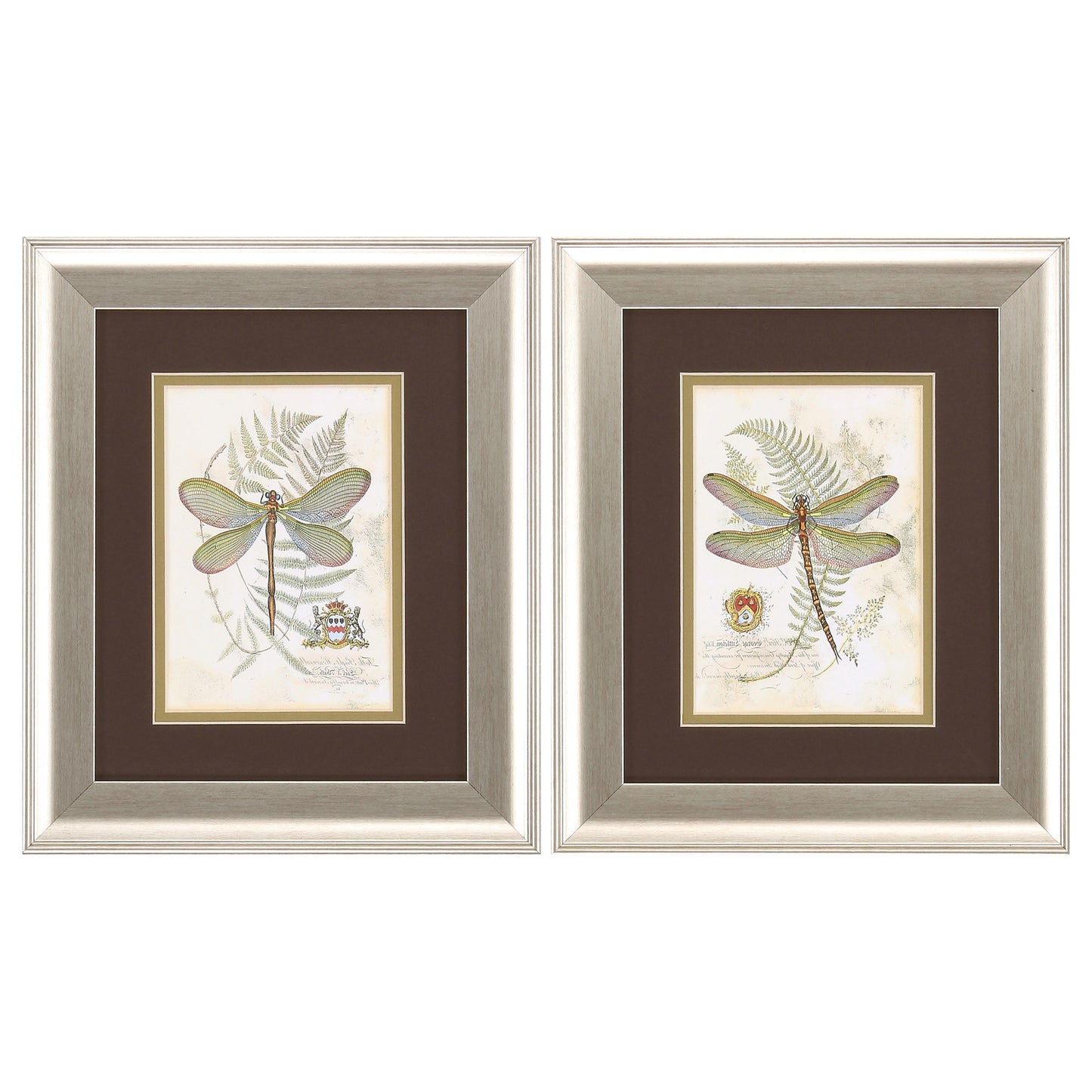 11" X 13" Brushed Silver Frame Dragonfly (Set Of 2)