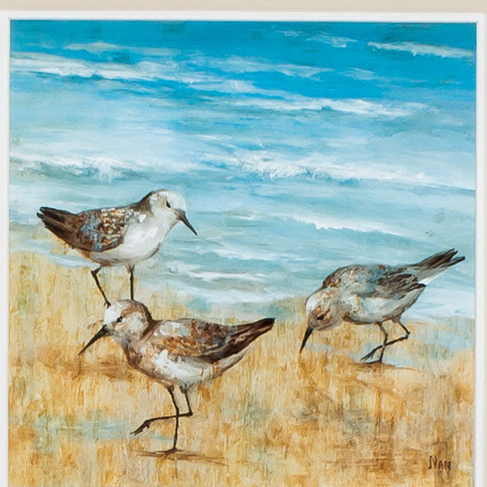 19" X 19" White Frame Sandpipers (Set Of 2)