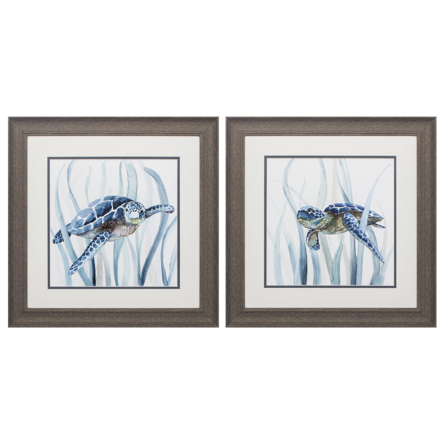 19" X 19" Distressed Wood Toned Frame Turtle In Grass (Set Of 2)