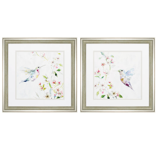 19" X 19" Brushed Silver Frame Hummingbird (Set Of 2)