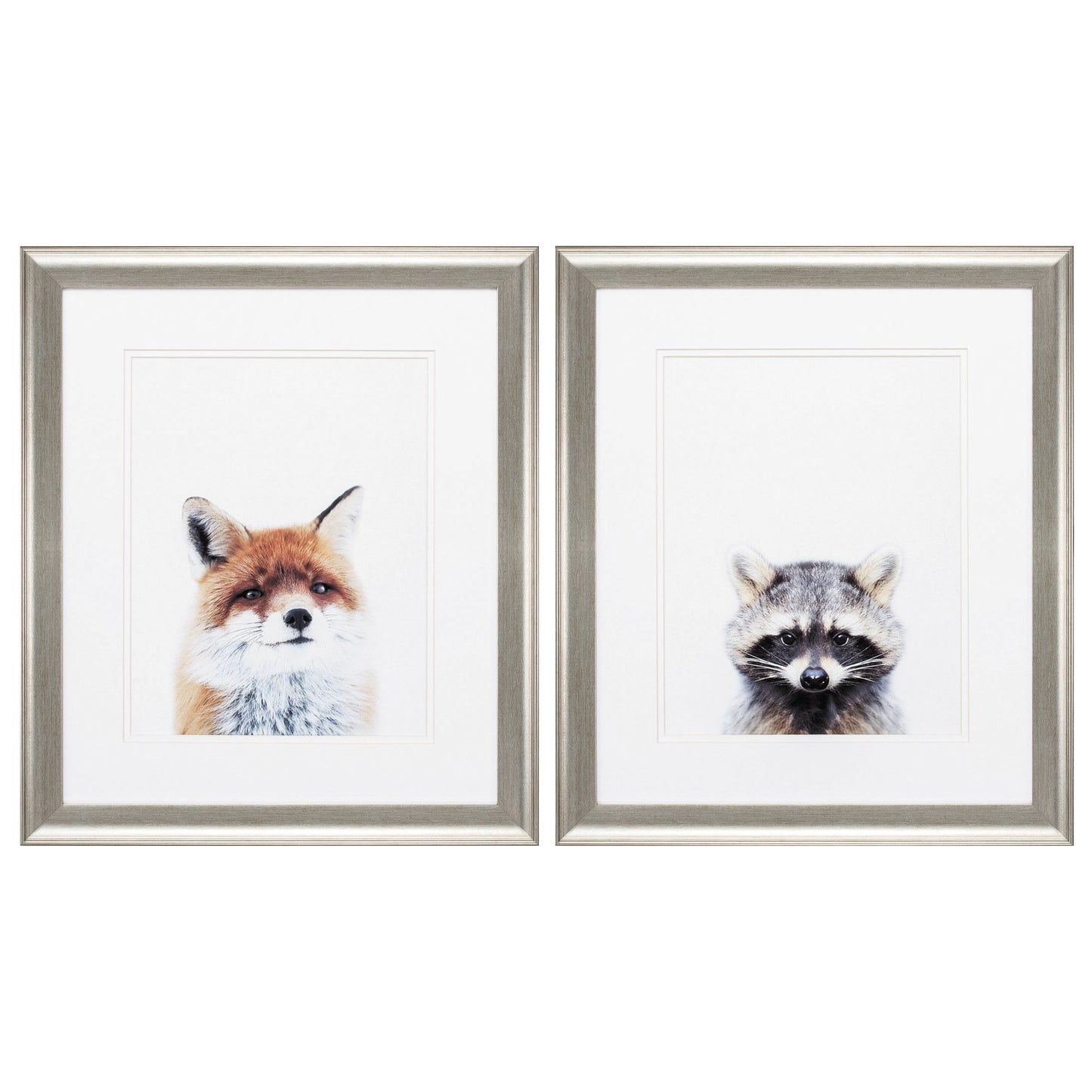 Set Of Two Fox and Racoon Silver Framed Wall Art