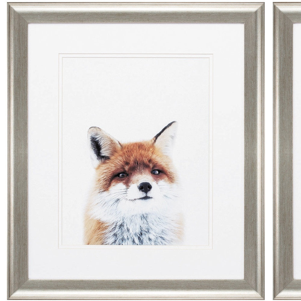 Set Of Two Fox and Racoon Silver Framed Wall Art