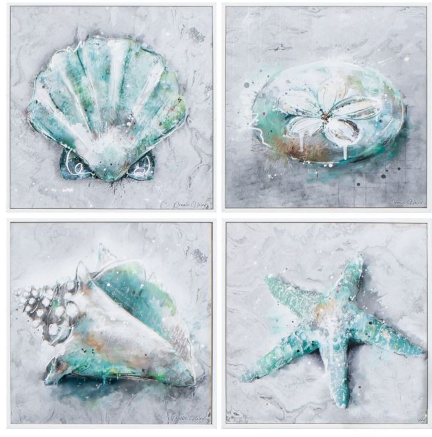 12" X 12" Matte White Frame Sealife (Set Of 4)