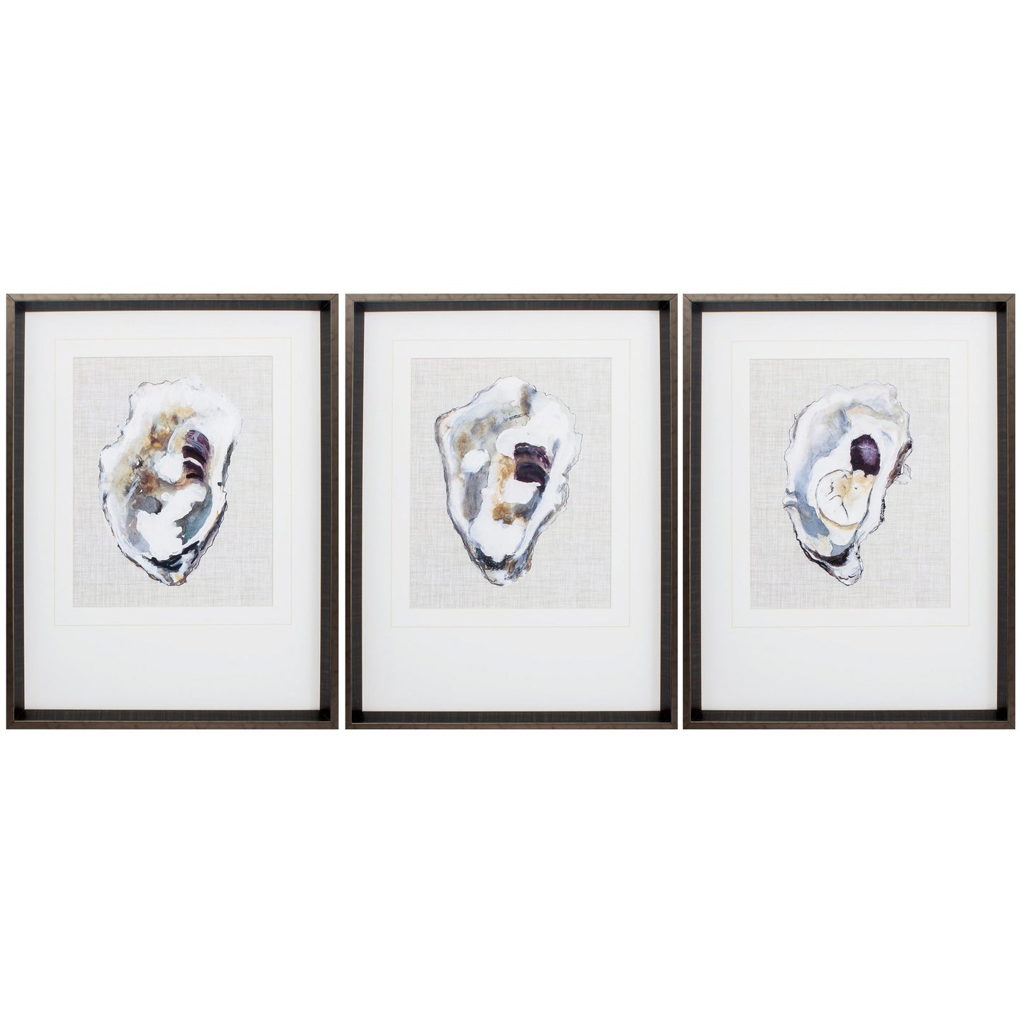 18" X 24" Brushed Silver Frame Oyster Shell Study (Set Of 3)