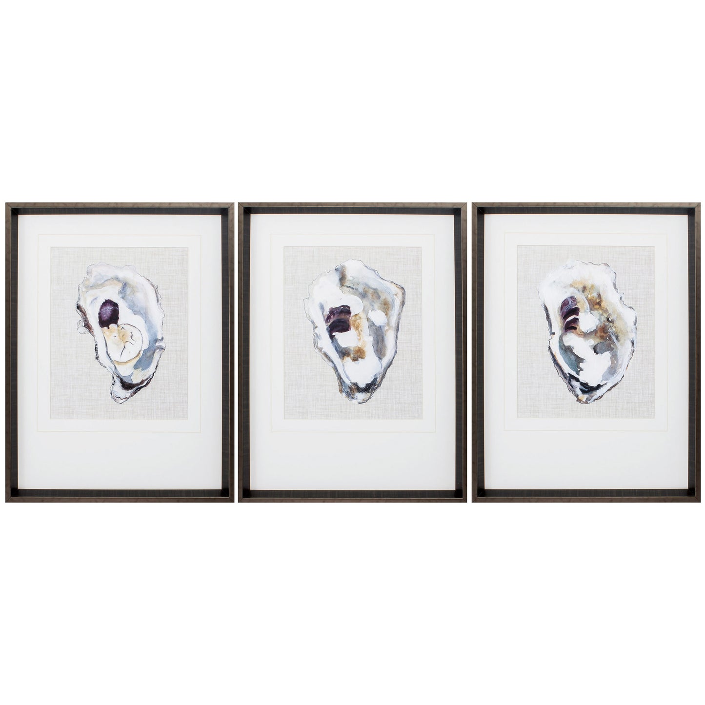 18" X 24" Brushed Silver Frame Oyster Shell Study (Set Of 3)