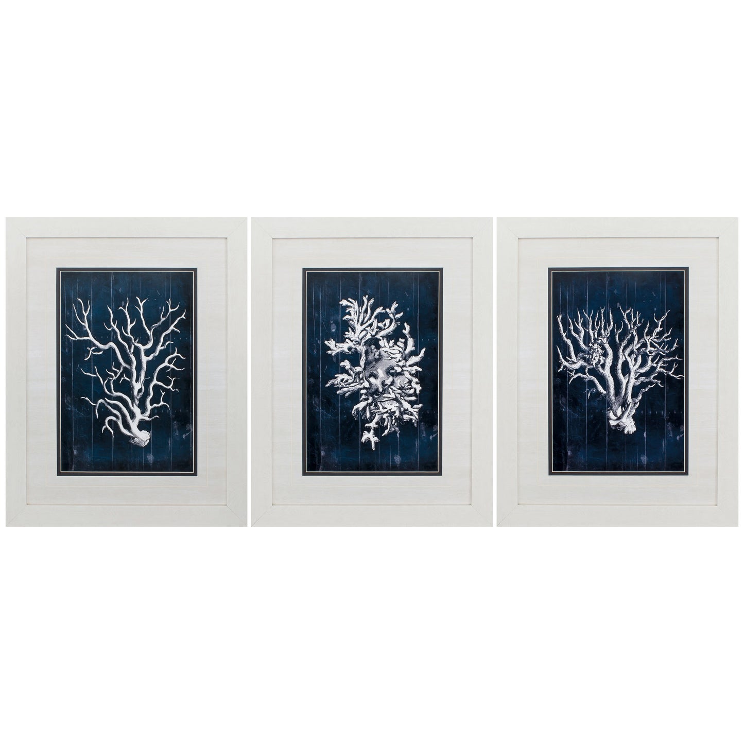 21" X 27" White Frame Wood Coral Blue (Set Of 3)