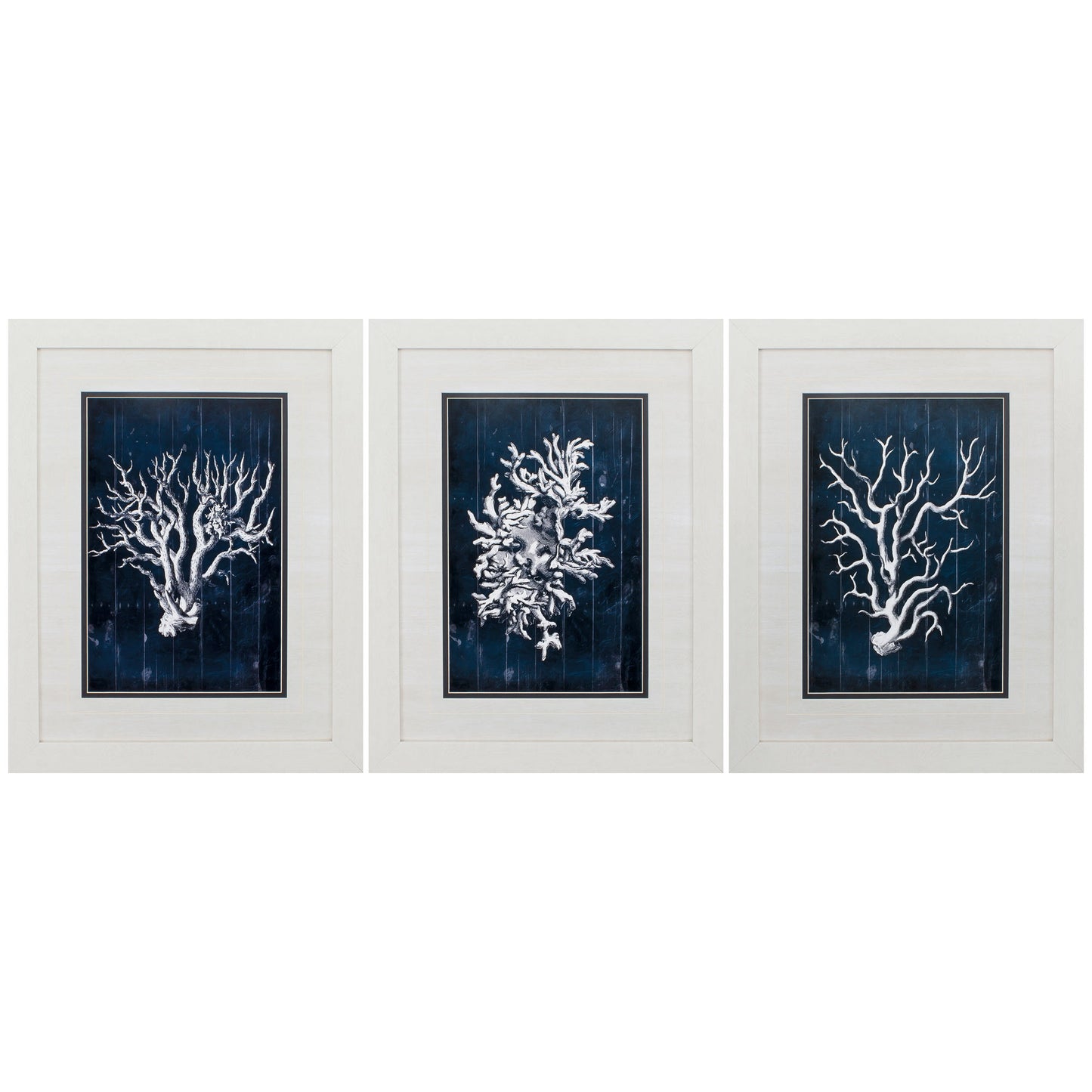 21" X 27" White Frame Wood Coral Blue (Set Of 3)