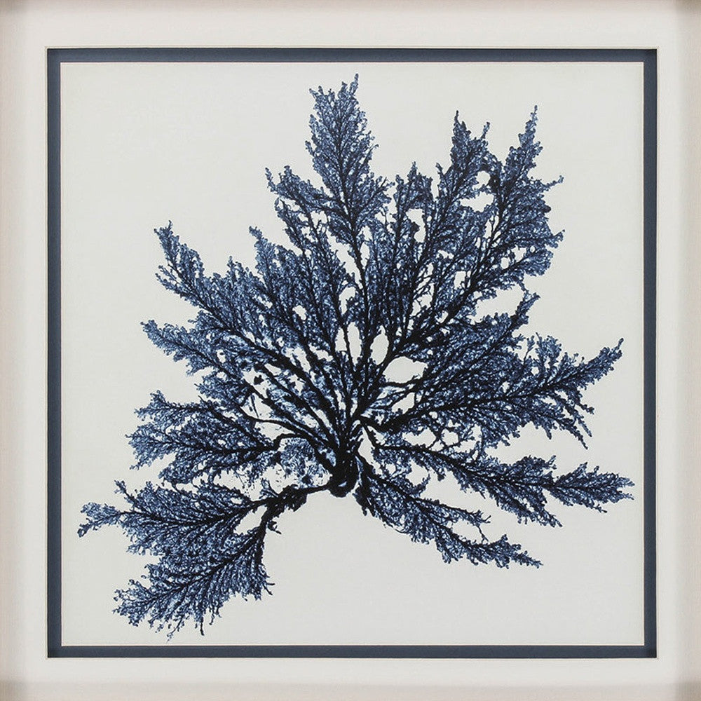 22" X 22" Silver Frame Coastal Seaweed (Set Of 3)