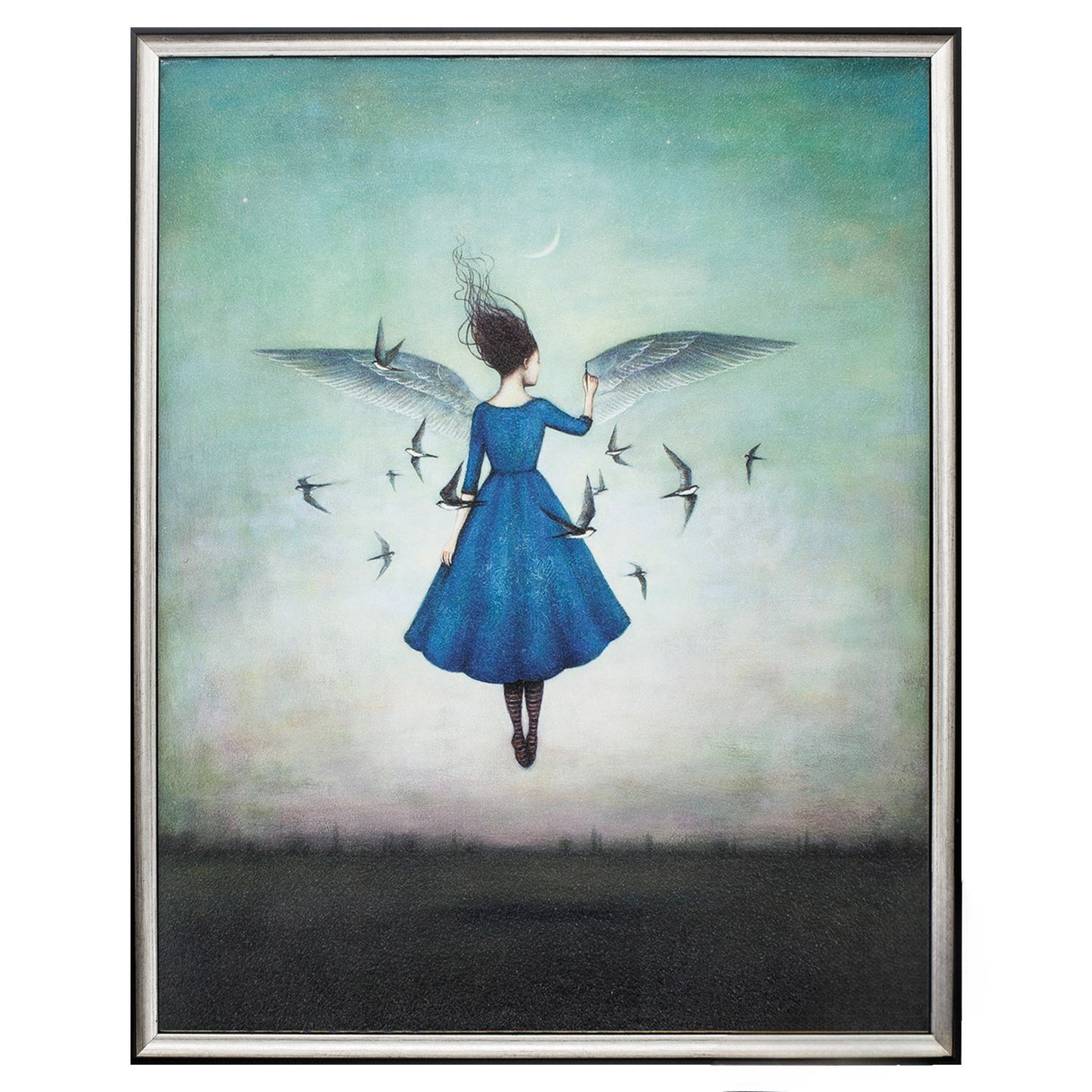 23" X 29" Silver Frame Swift Encounter