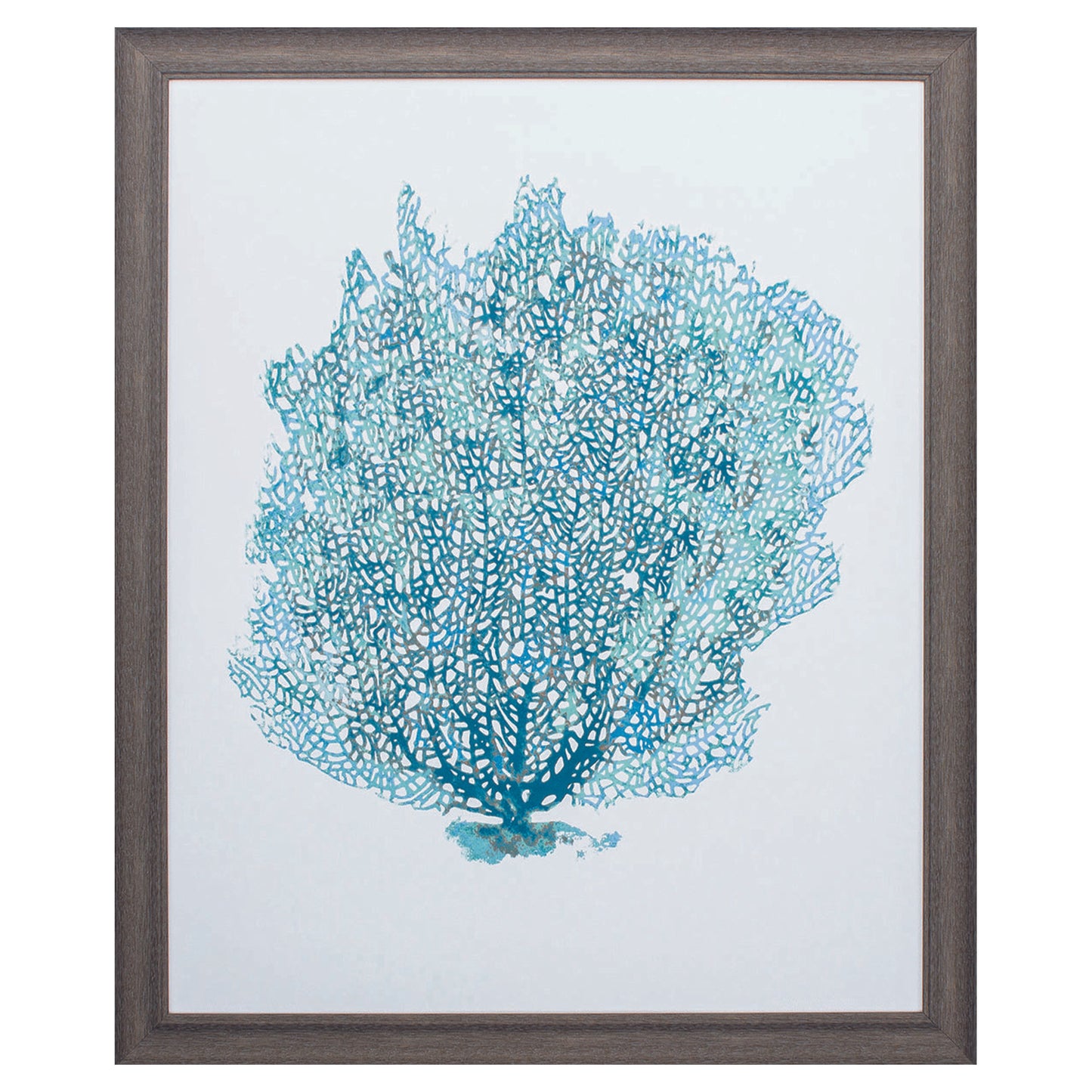 27" X 33" Distressed Wood Toned Frame Aqua Coral On White Ii