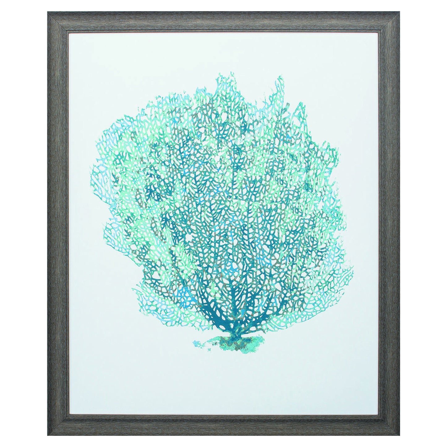 27" X 33" Distressed Wood Toned Frame Aqua Coral On White Ii