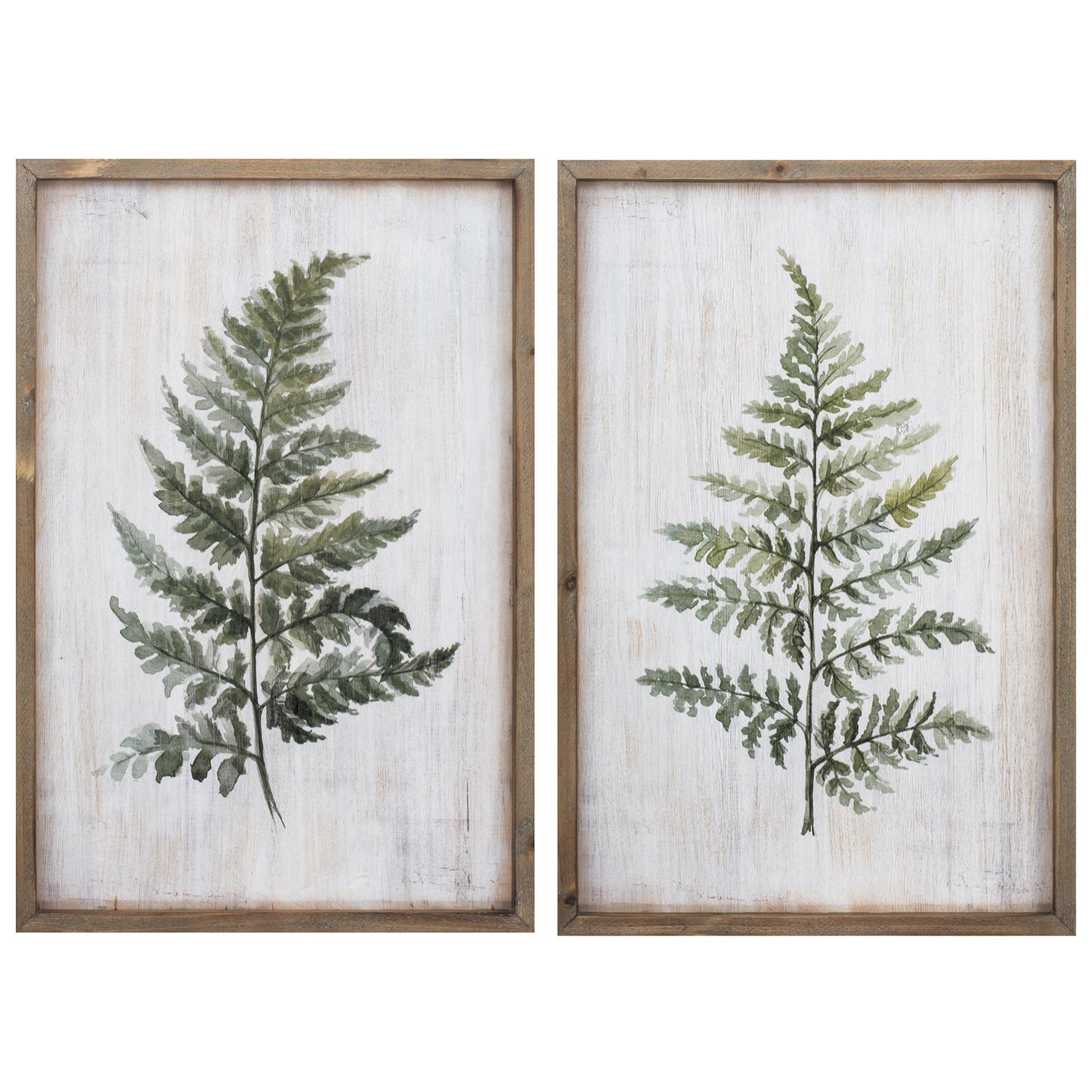 16" X 24" Ferns (Set Of 2)