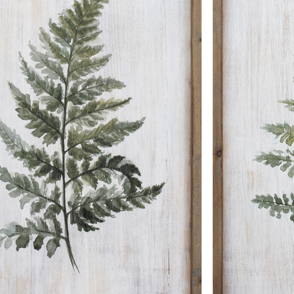 16" X 24" Ferns (Set Of 2)