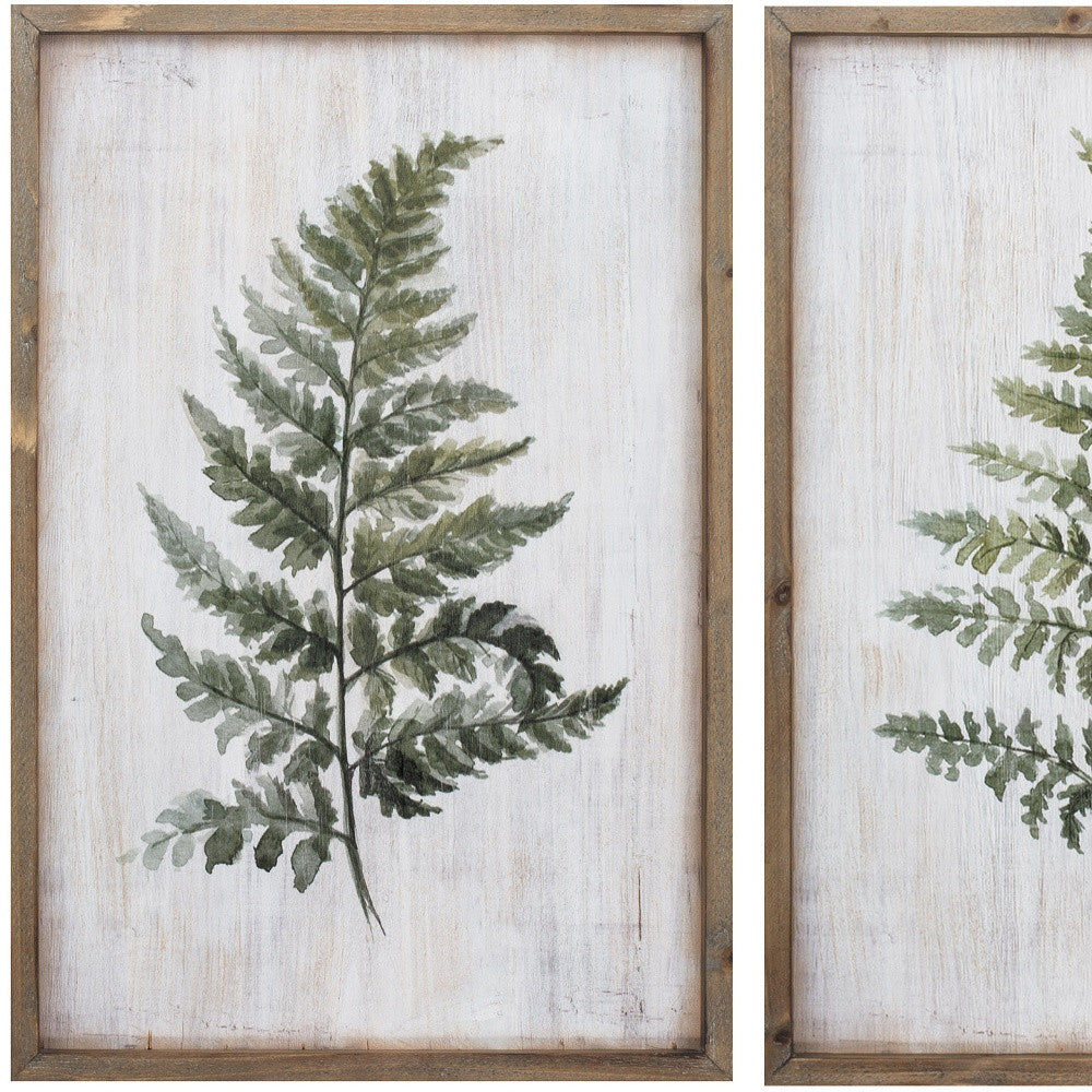 16" X 24" Ferns (Set Of 2)