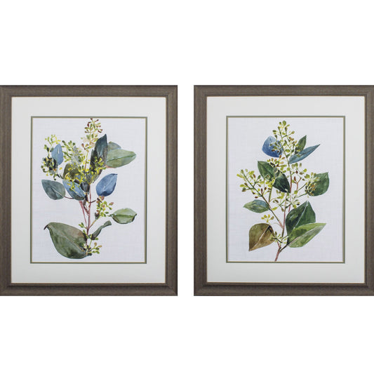 Set Of Two Seeded Eucalyptus Abstract Framed Art