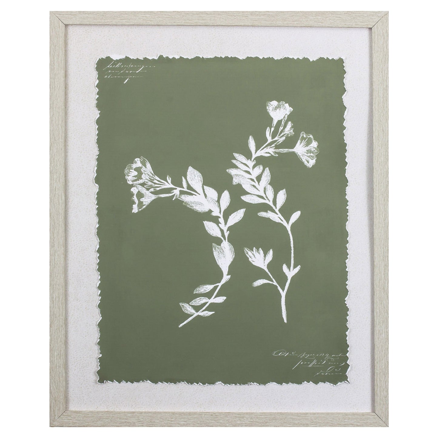 Moss Green and White Botanical Flowers 1 Wall Art