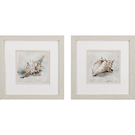 Set of Two Conch Shell Watercolor Wall Art