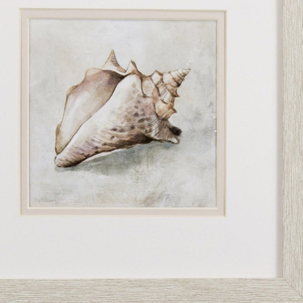 Set of Two Conch Shell Watercolor Wall Art