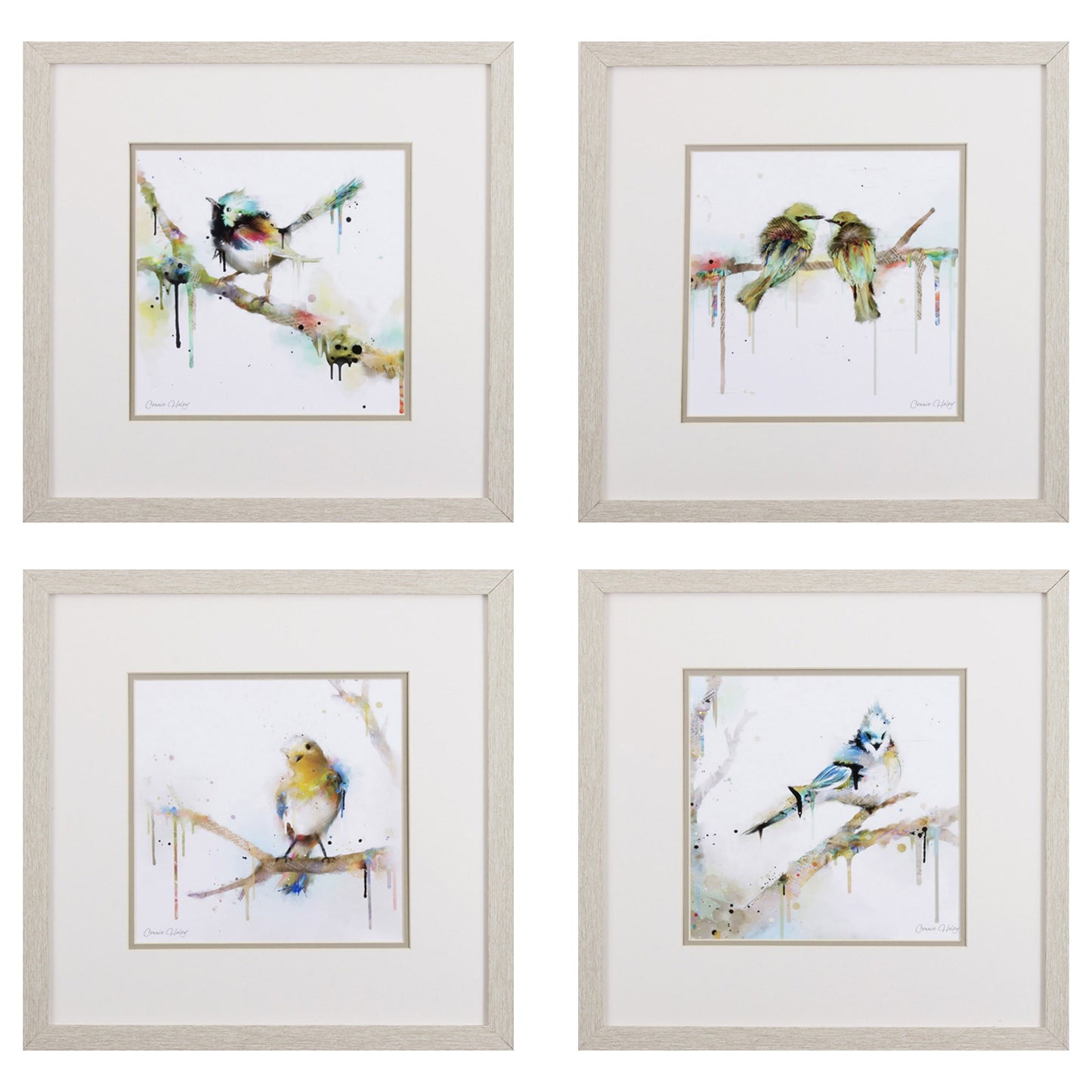 Set of Four Colorful Birds on Branches Wall Art