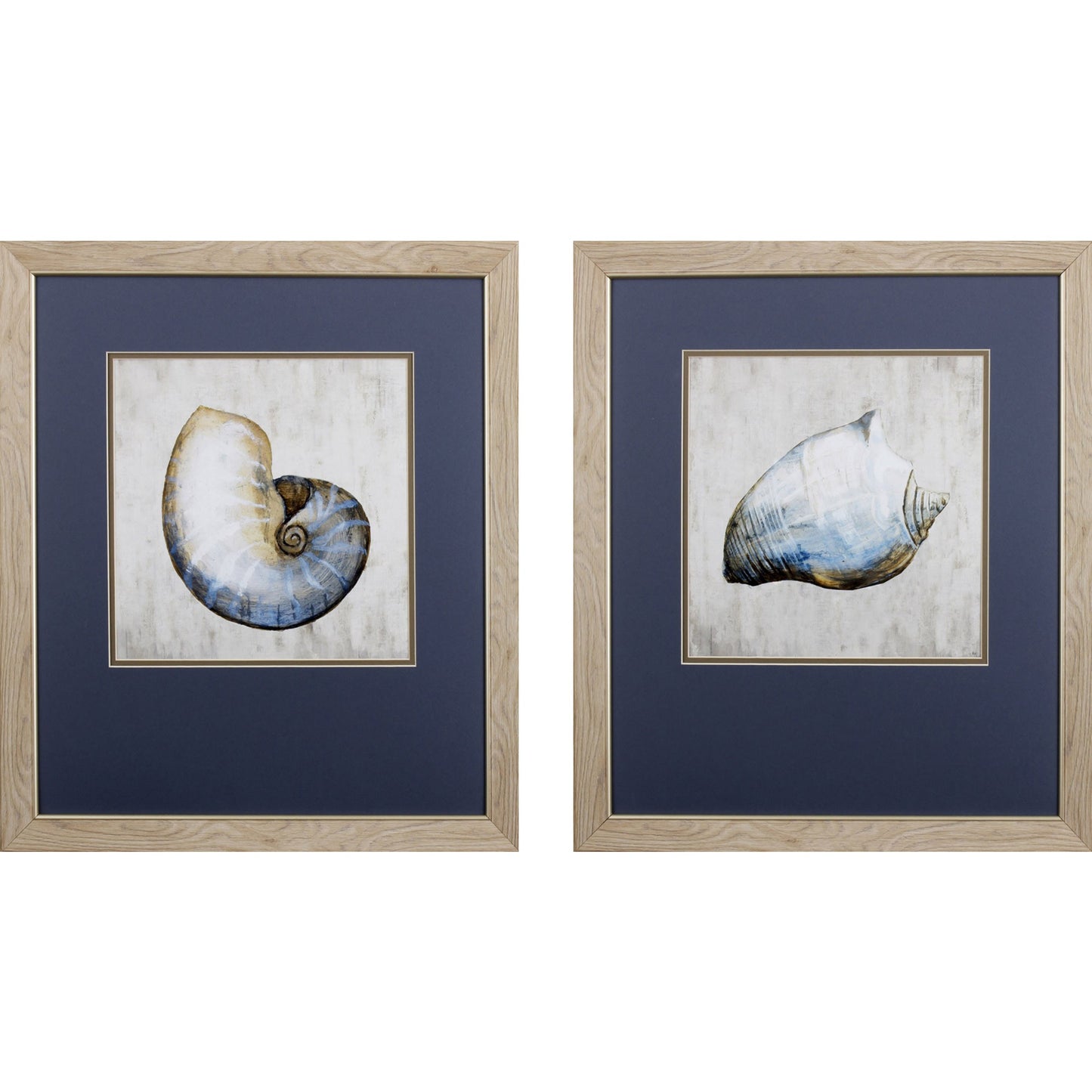 Set of Two Ocean Seashells Wall Art