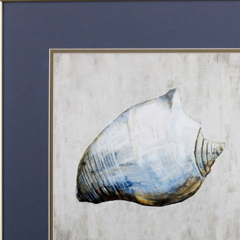 Set of Two Ocean Seashells Wall Art