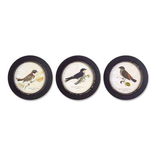 Set Of Three Black Bird Wall Decor