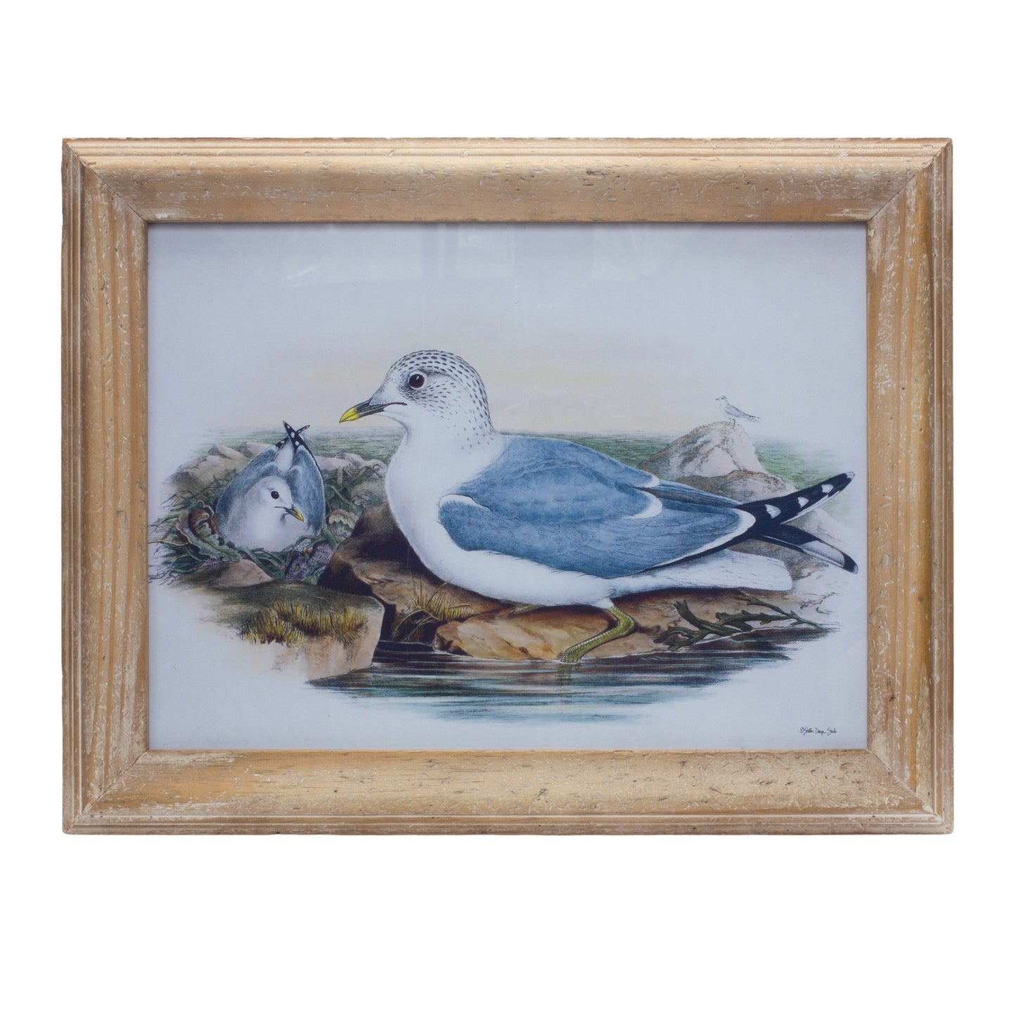 13" X 17" Natural and Blue Bird Solid Wood Framed Art