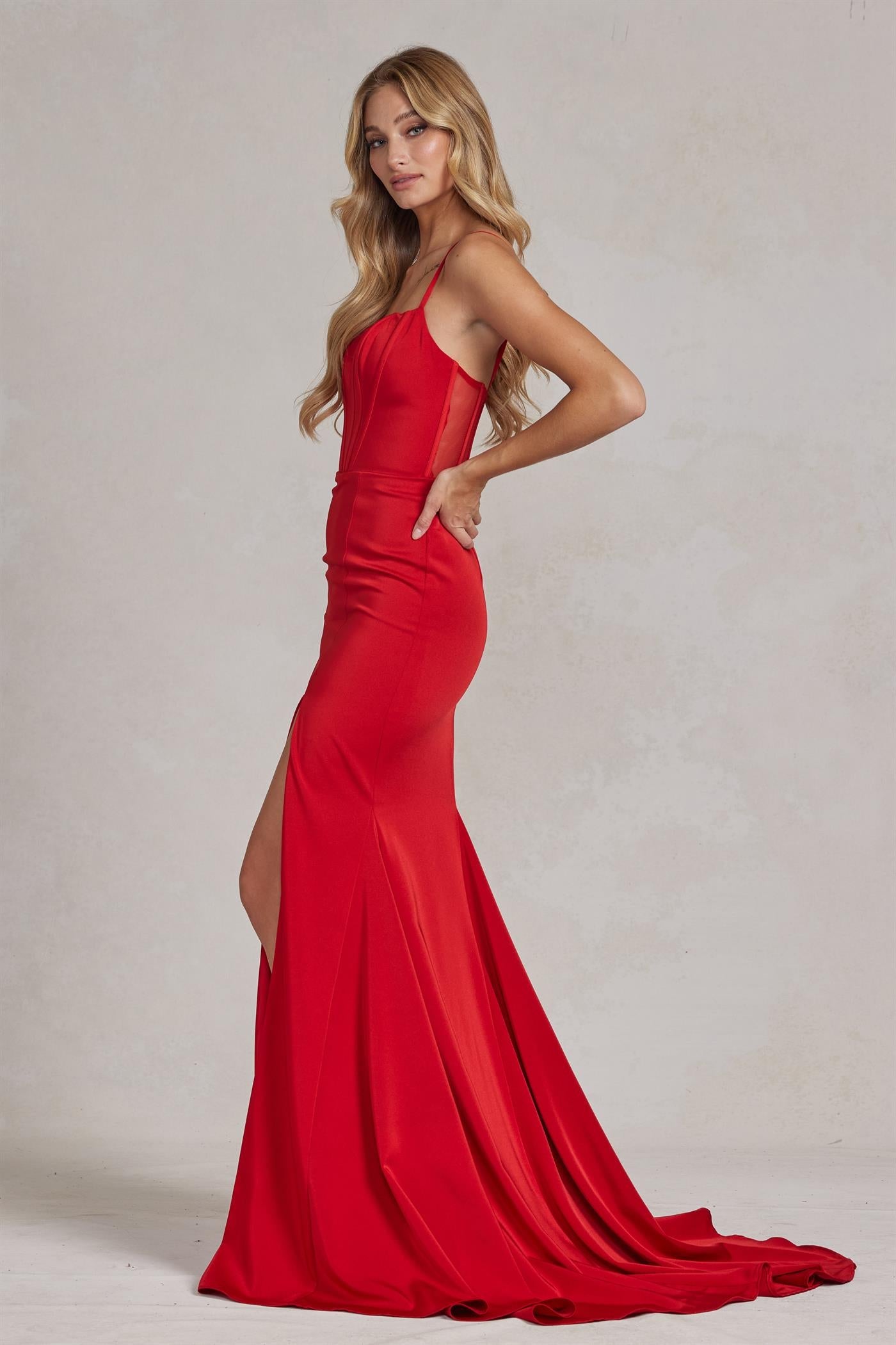 Side Slit Satin Sheer Back Sleeveless Spaghetti Straps Long Evening Dress NXP1168-3