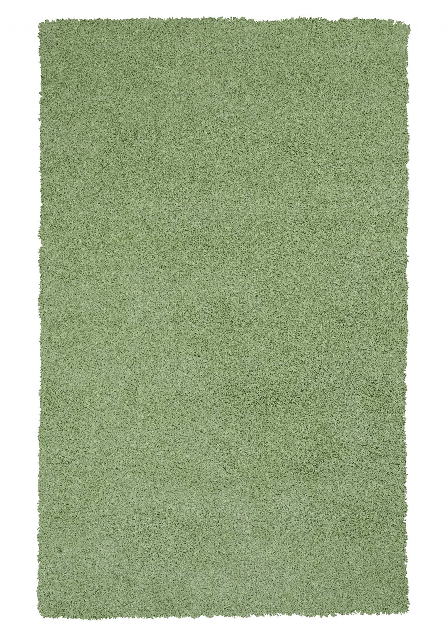 5'x7' Spearmint Green Indoor Shag Rug-0