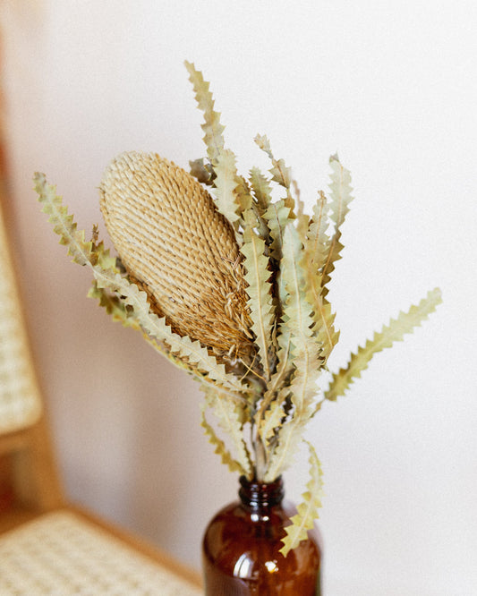 Protea Banksia-0