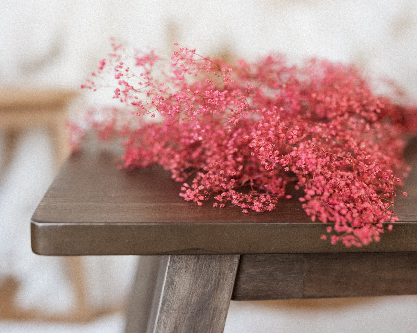 Red Baby's Breath (Gypsophila)-3