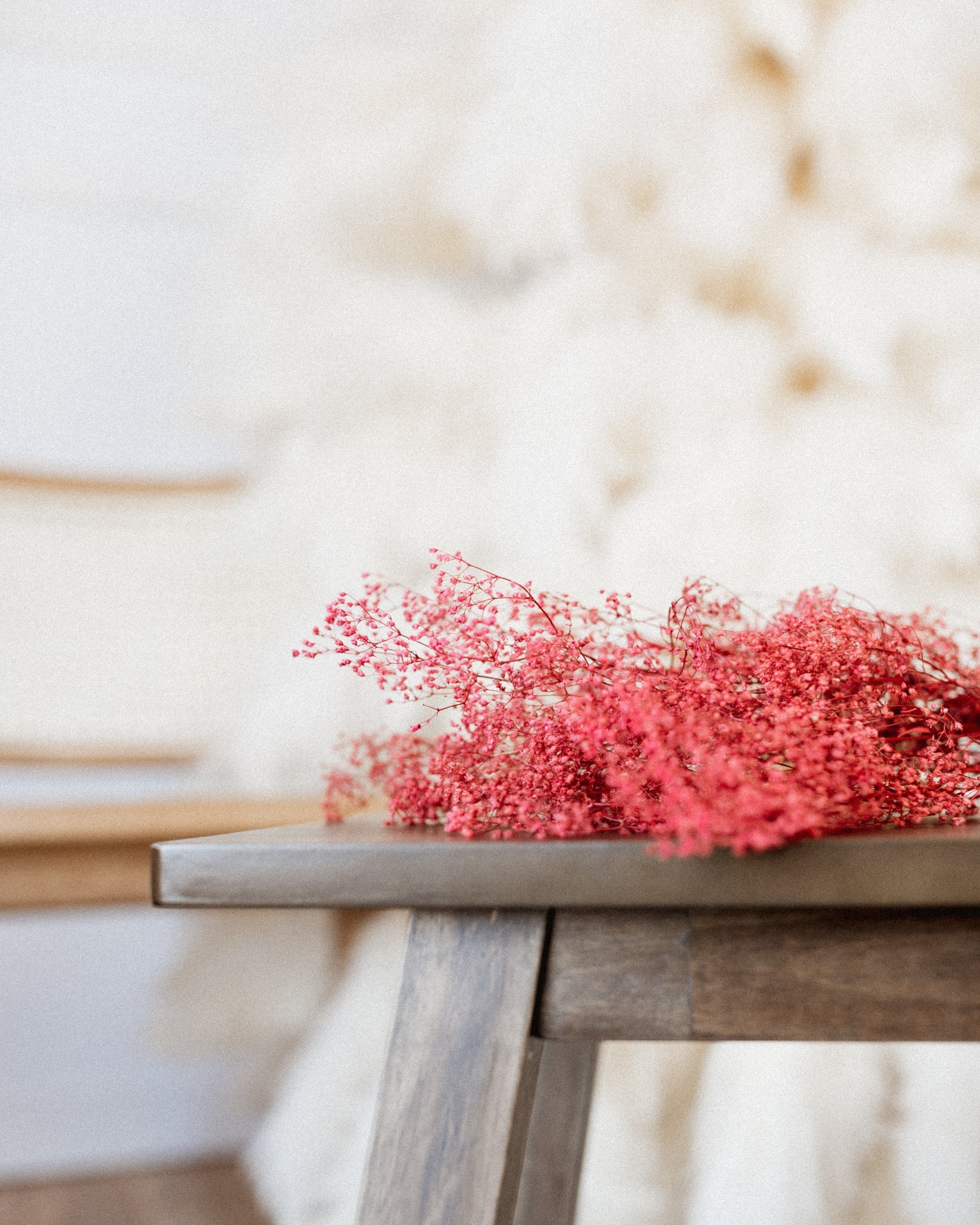 Red Baby's Breath (Gypsophila)-4