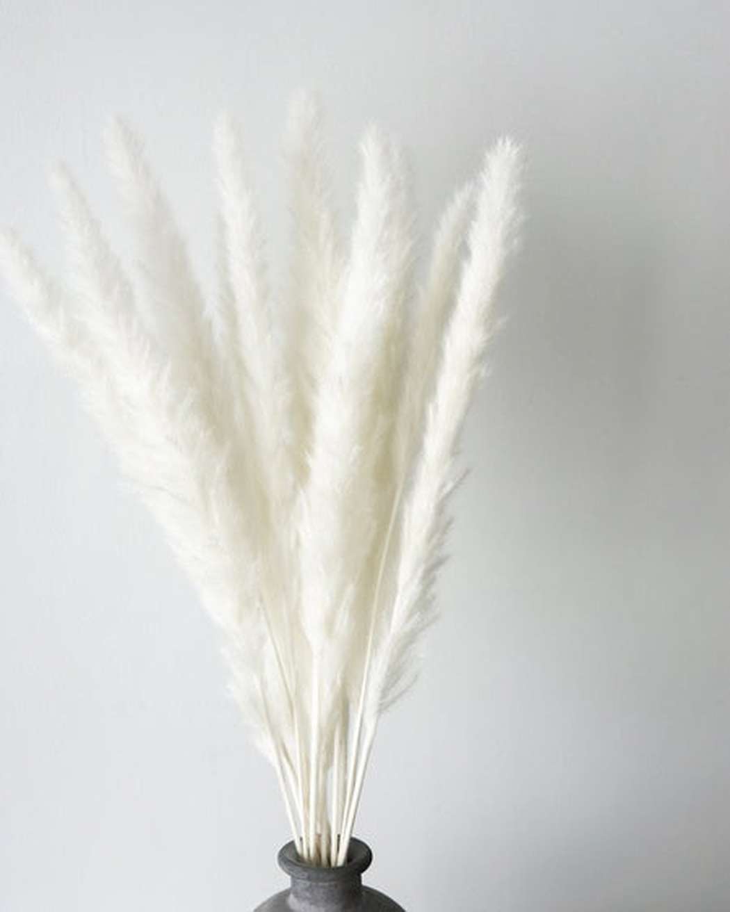 White Small Pampas-1