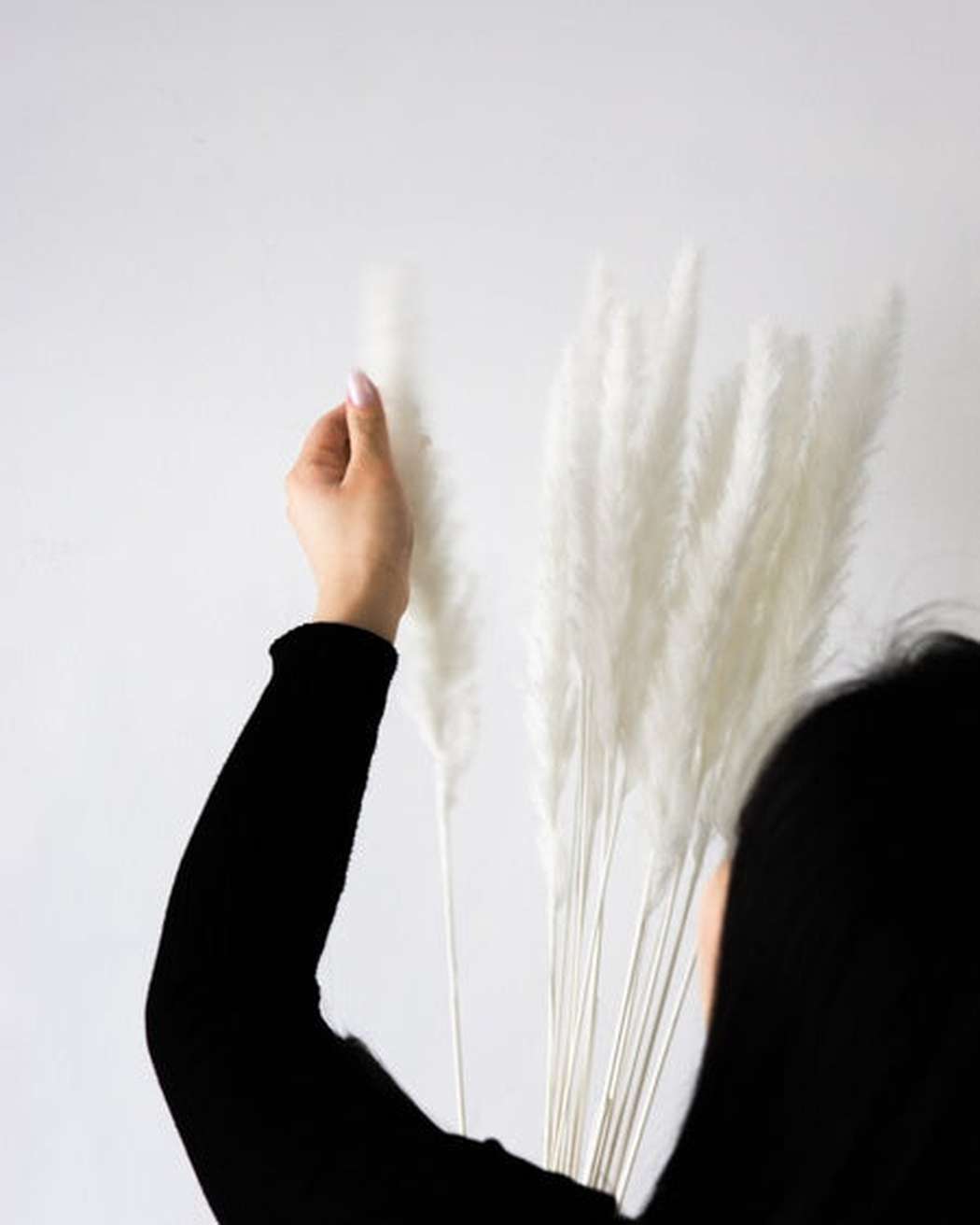 White Small Pampas-5